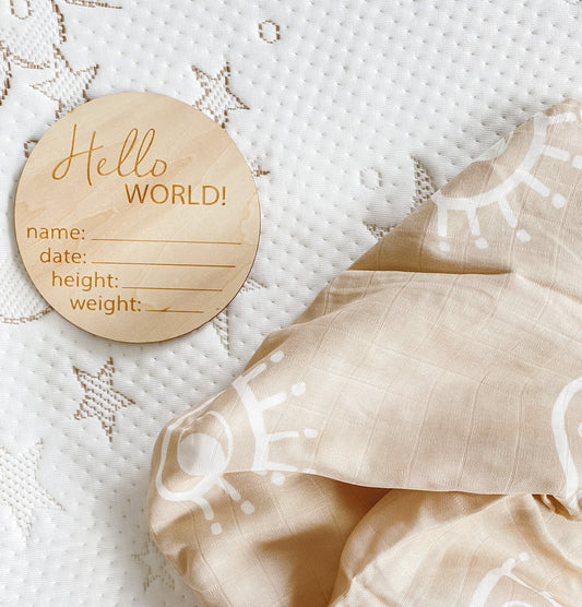 hello world | wooden birth announcement plaque